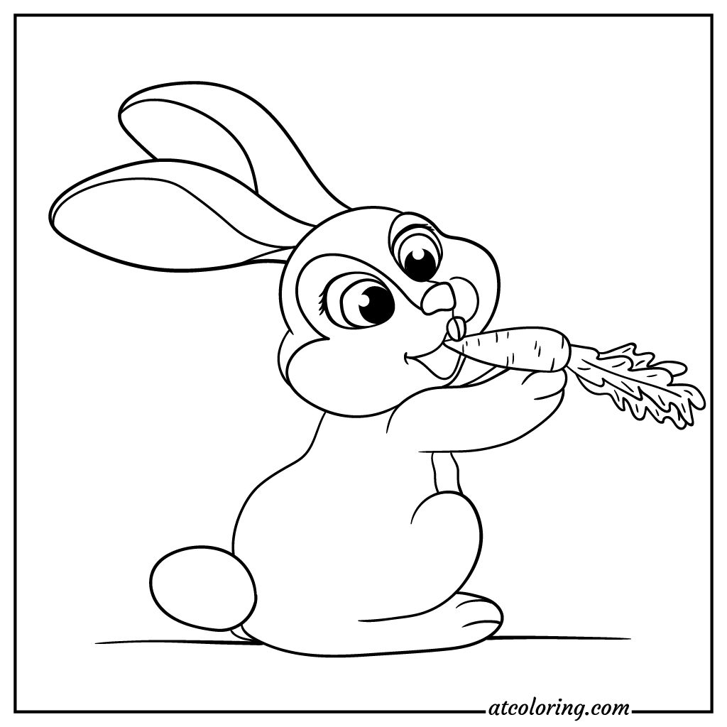 Rabbit eating carrot coloring pages